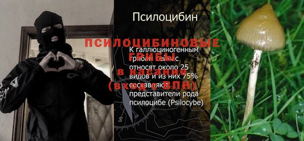 дживик Абаза