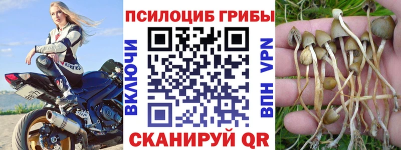 дарнет шоп Пыталово Псилоцибиновые грибы MAGIC MUSHROOMS